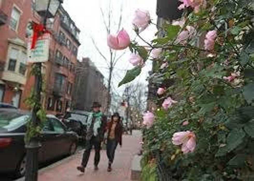 Thoughts Every Bostonian Has Had During This Abnormally Warm Winter