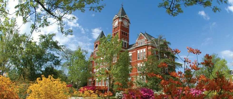 Falling For Auburn