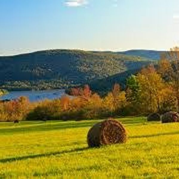 15 Signs You Go To School In Upstate New York