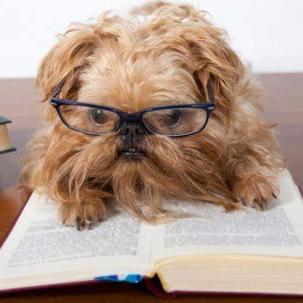 13 Books To Satisfy Your Inner Grinch