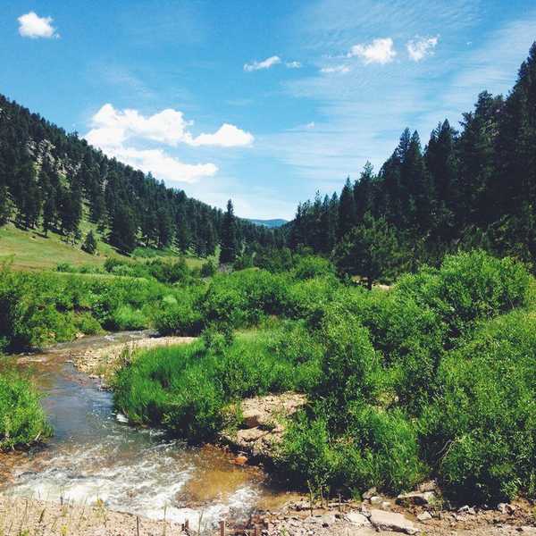 Why You Should Leave No Trace While Hiking