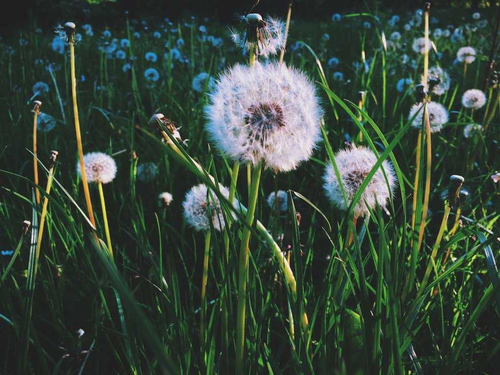 10 Songs to Listen to When You Need a Good Cry