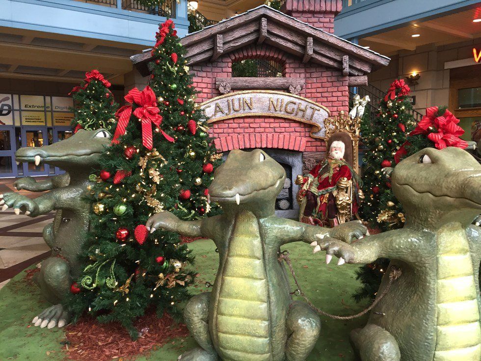 10 Truths About Louisiana Winters