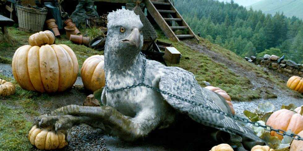 7 Things To Do As You Wait For "Fantastic Beasts And Where To Find Them"