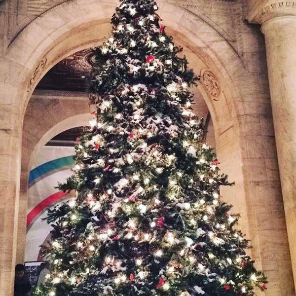 An Unending Christmas