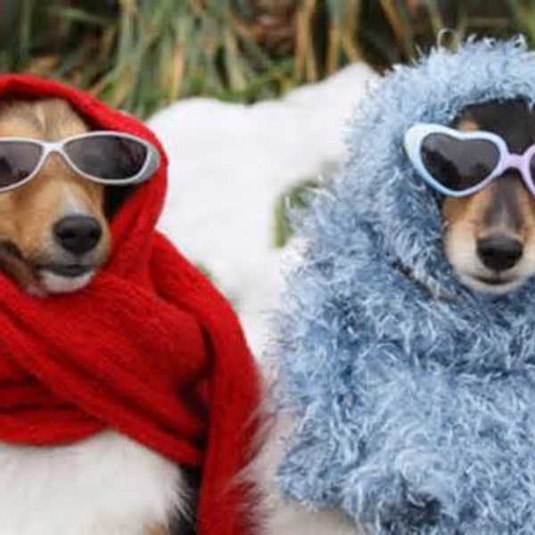12 Ways To Survive The Winter For Cold Sensitive People