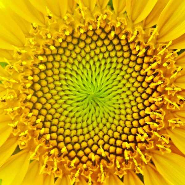How The Spiral Effect Challenges Our Lives