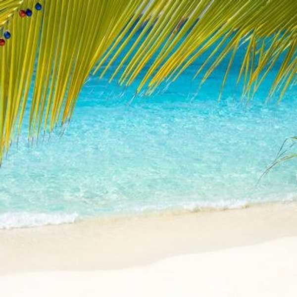 7 Signs You Spent Your Holidays In Florida