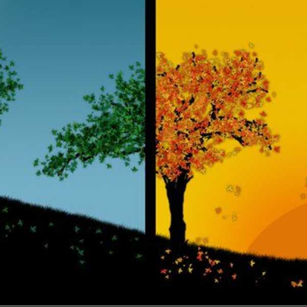 The Colors Of The Wind
