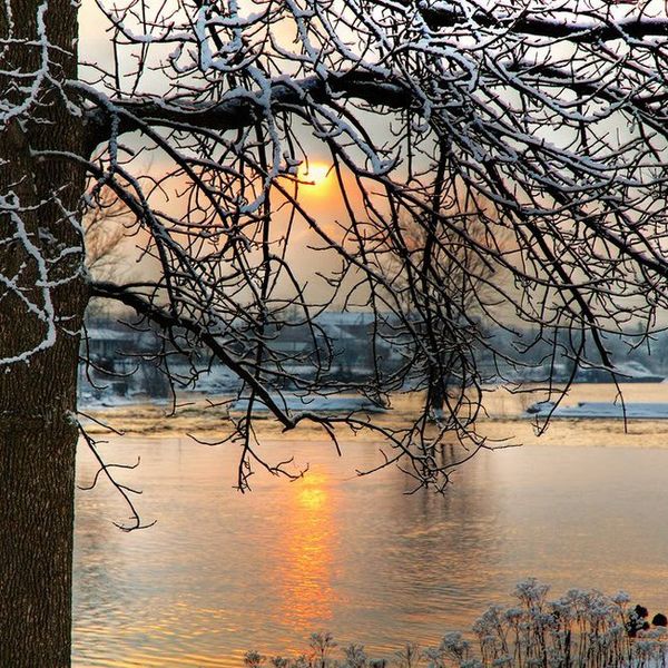 The Positives And Negatives Of Going Back Home For Winter Break