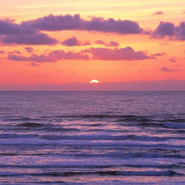 Dearest Future Husband