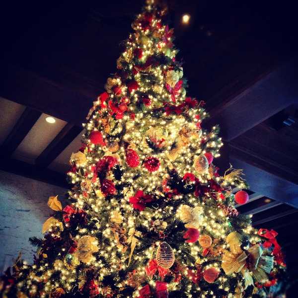 12 Thoughts You Have During Post-Christmas Blues