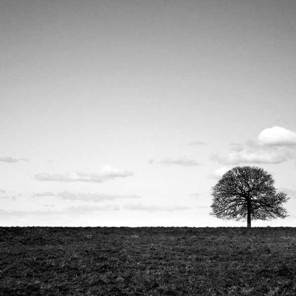 The Idol Of The Individual, Part 3: Reality In Isolation