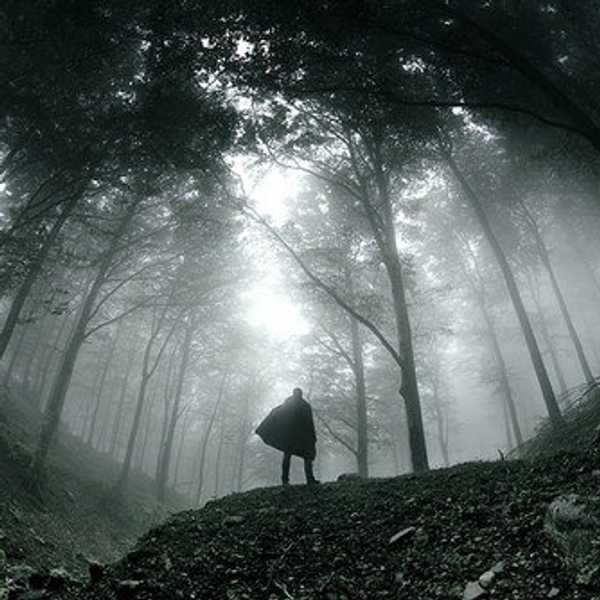 What No One Tells You About Life