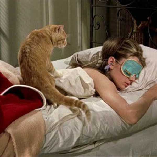21 Things That Inevitably Happen When You're Home For Winter Break