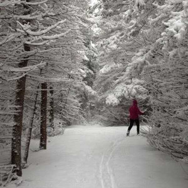 Fact: Winter is Just As Good As Fall