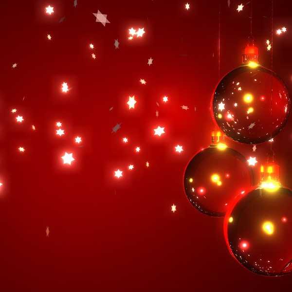 Tips For Surviving The Holiday Season
