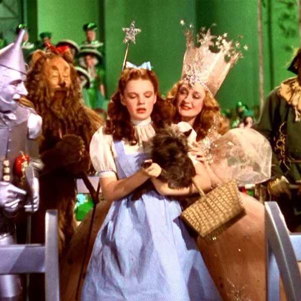 The Definition of "Home" to a College Student