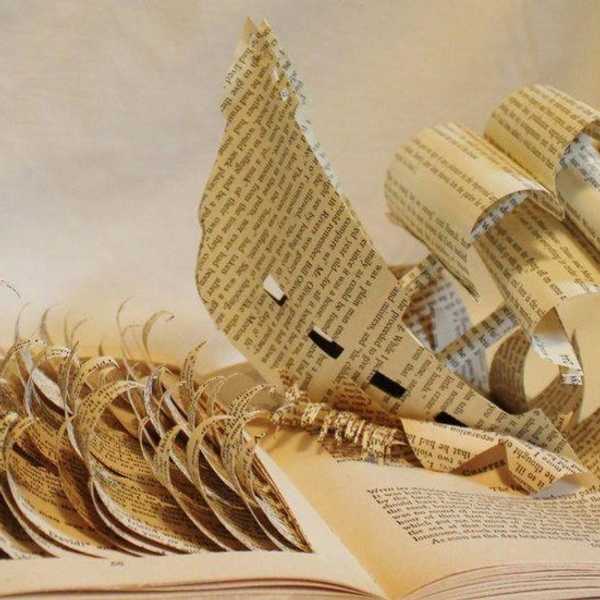 8 Books You Should Read Over Winter Break