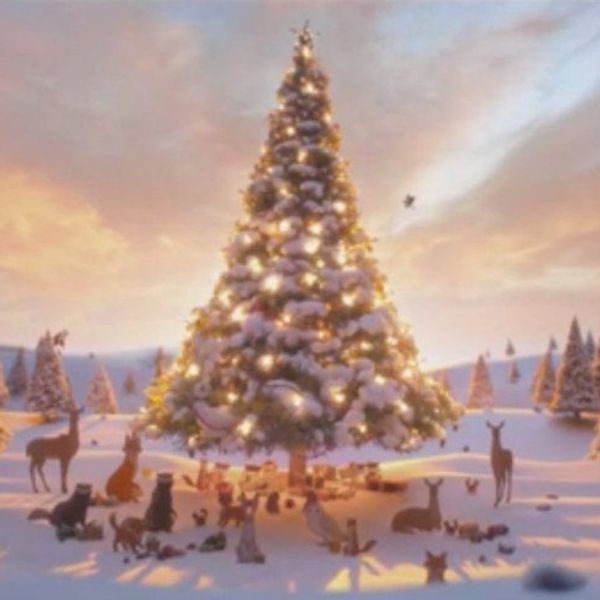 Turkey, Presents And 11 Months Of Debt