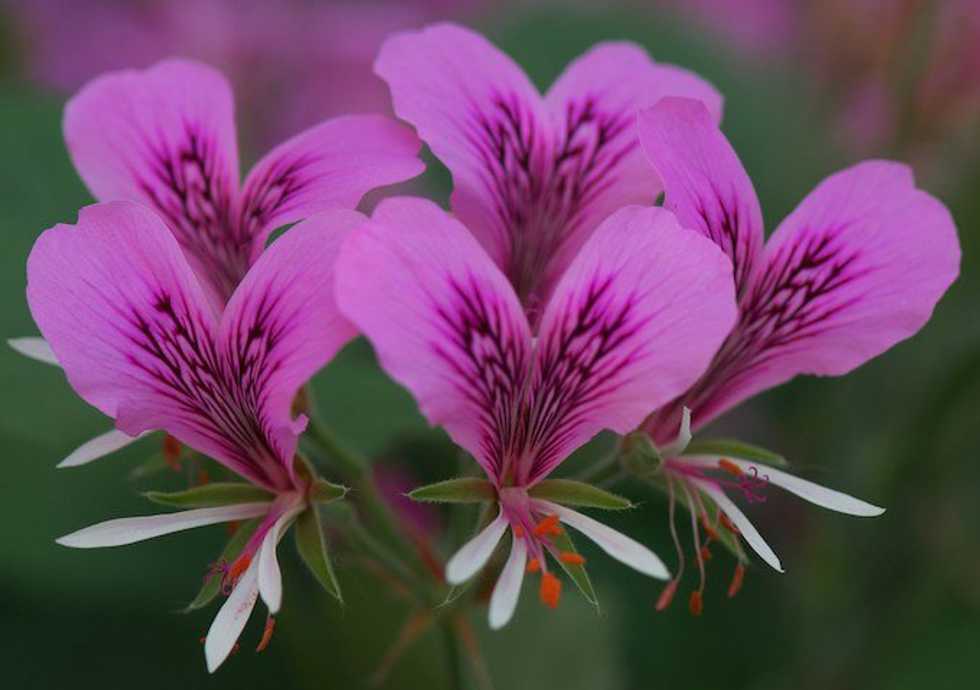 10 Tips For A Successful Long Distance Relationship