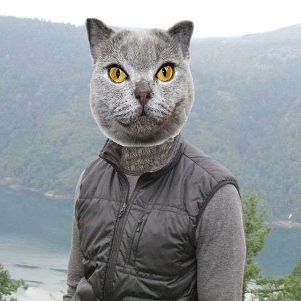 6 Reasons Cats Are Better Than People