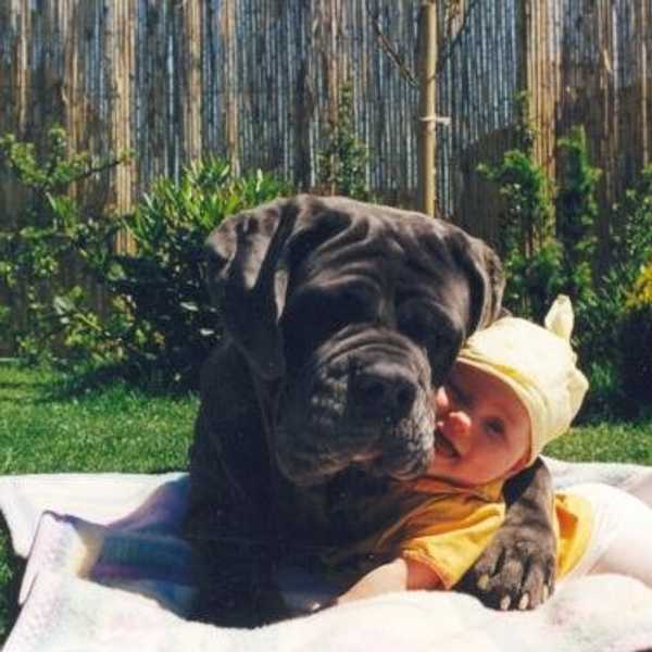 11 Lessons My Dog Taught Me