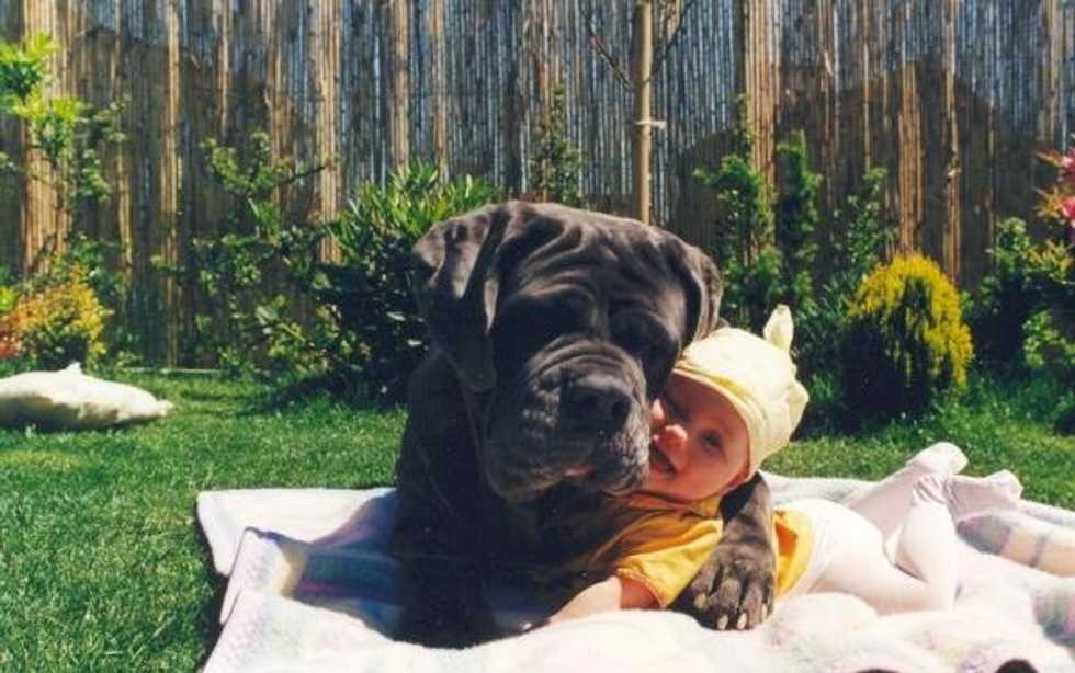 11 Lessons My Dog Taught Me