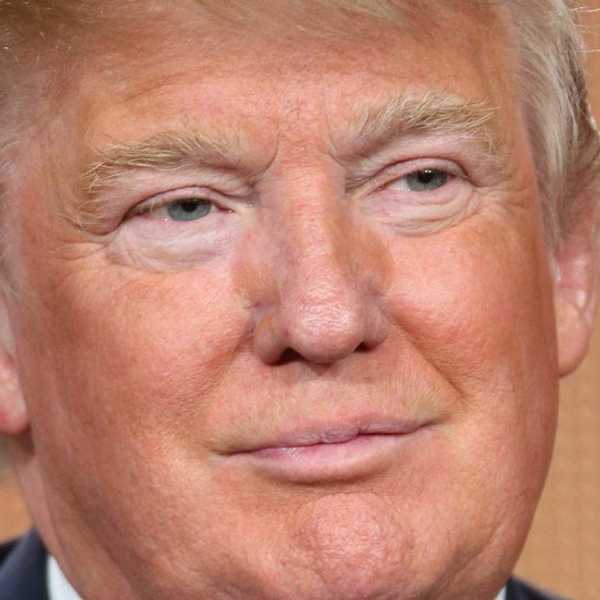 6 Things That "Trump" Trump's Hair