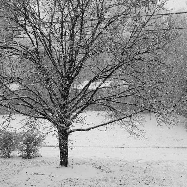 How To Survive Christmas Shopping