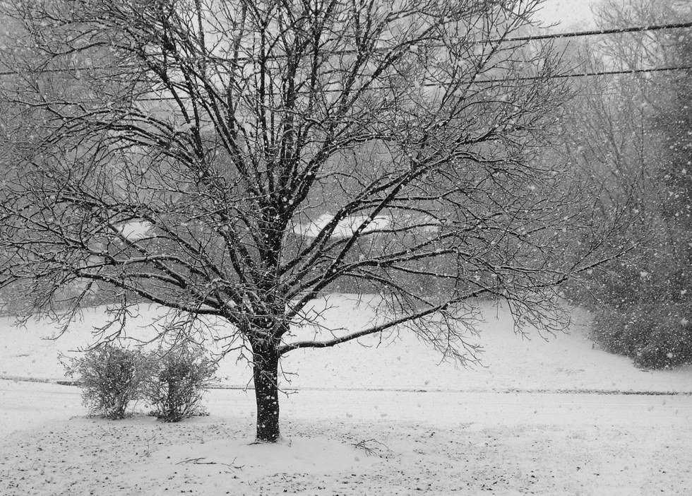 How To Survive Christmas Shopping