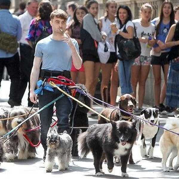10 Signs You're A Crazy Dog Person