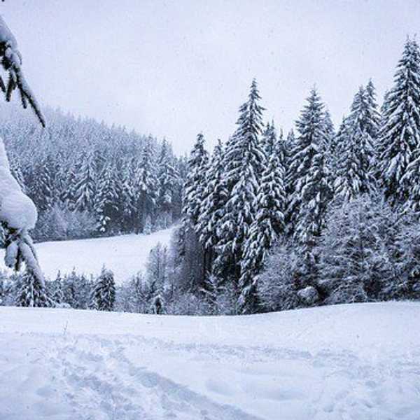 9 Things To Do In The Winter