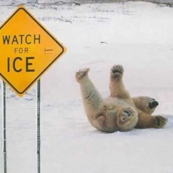 Why I Hate Winter