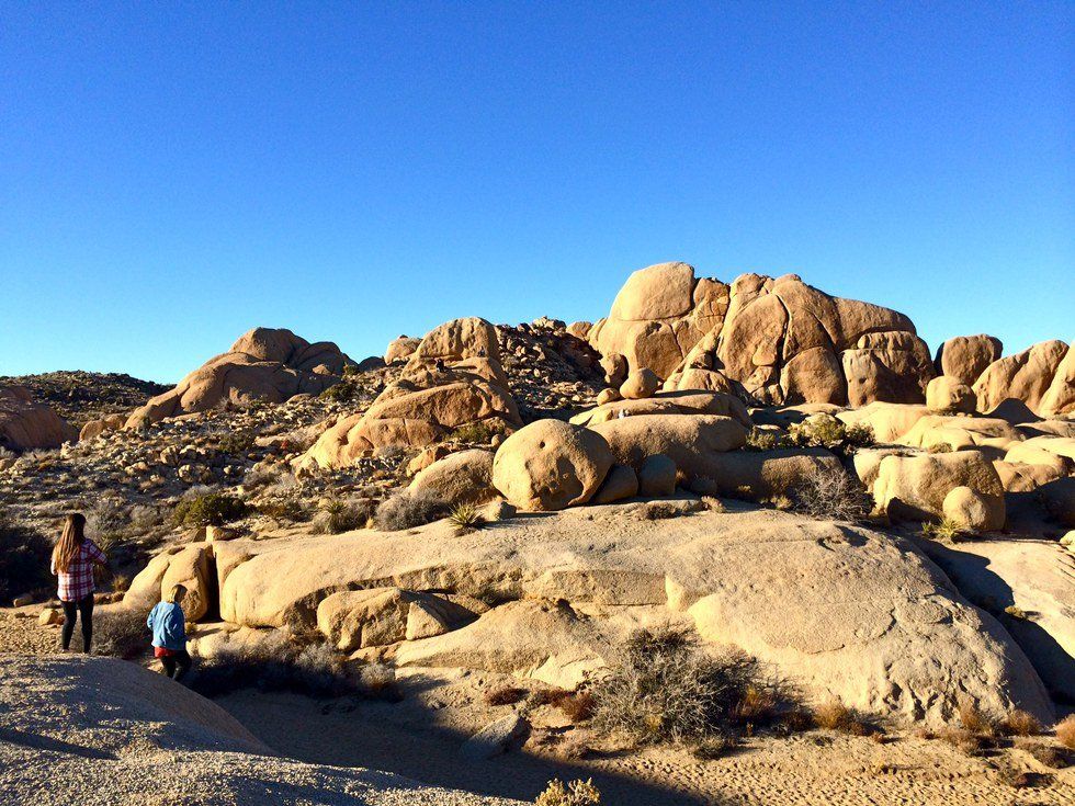 The Magnitude Of Loss