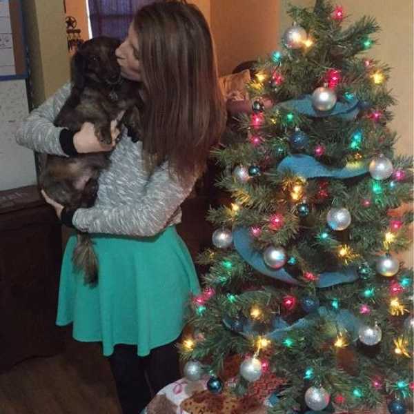 The Truth Behind My LOVE For Christmas