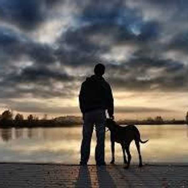 10 Reasons Why Having A Dog Is So Great