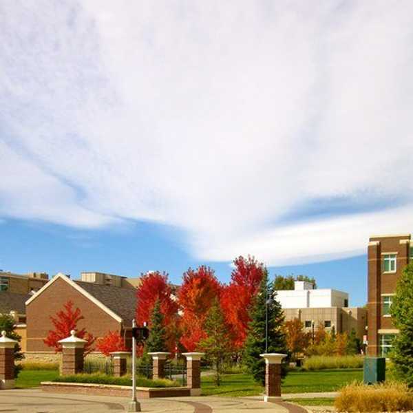 Why Choosing An Out-Of-State College Is The Best Decision You Could Make