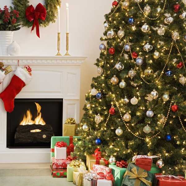 10 Things To Do Over Winter Break
