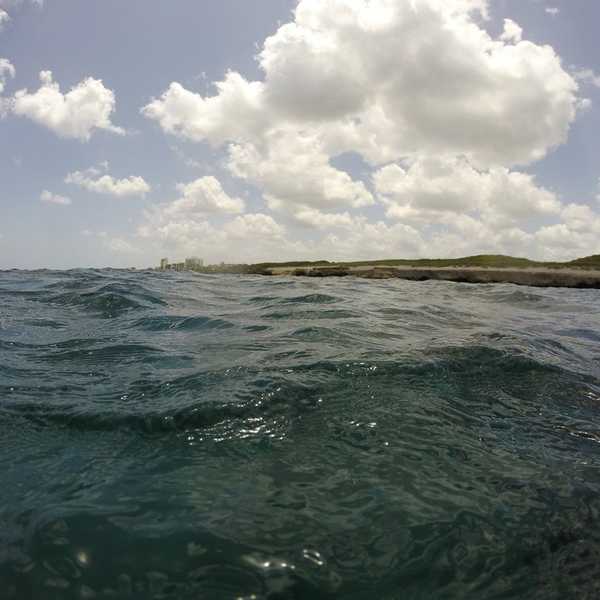 6 Reasons You Should Explore The Ocean