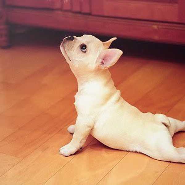 Your First Time Doing Yoga