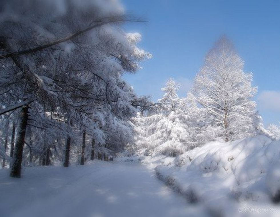 Why College Students Love Winter Break