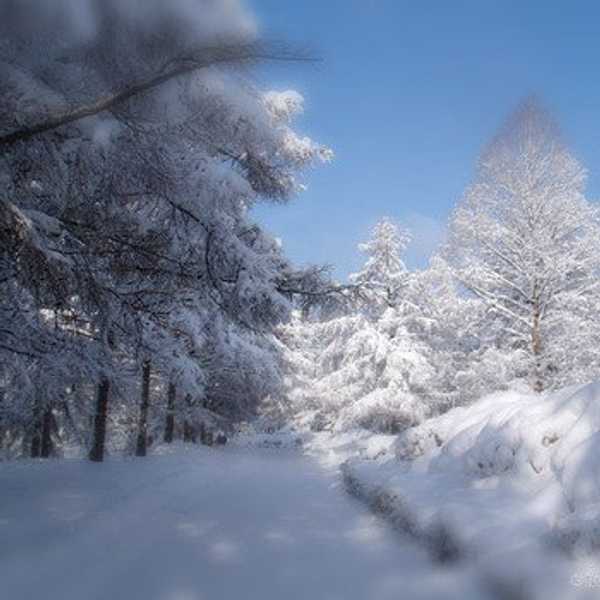 Why College Students Love Winter Break