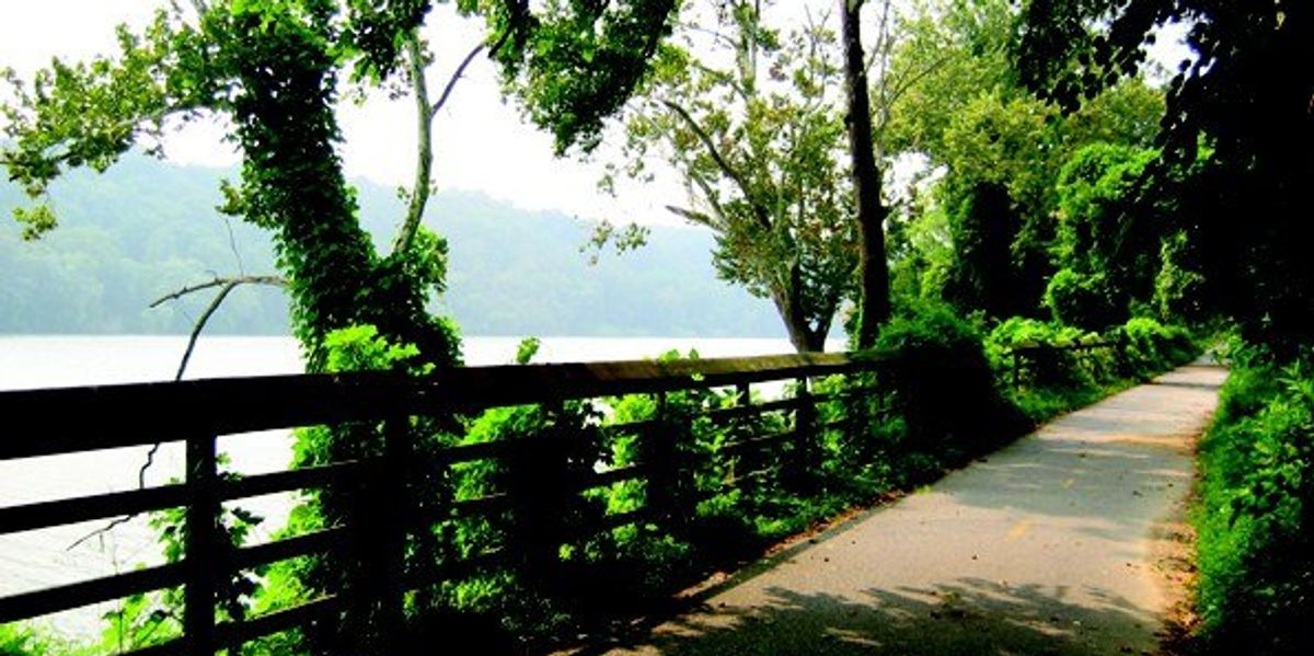 Dmv Parks A Hiking Guide To The DMV Area | The Odyssey Online