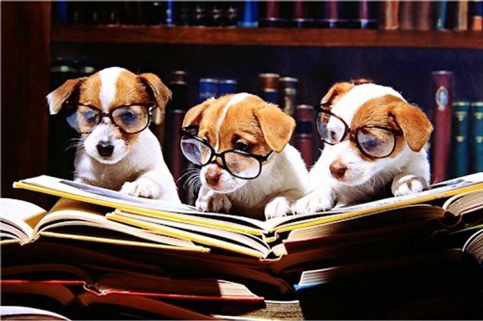 11 Struggles Only English Majors Understand