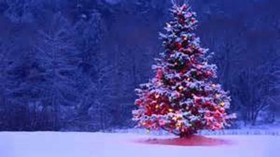 Giving Back This Christmas Season