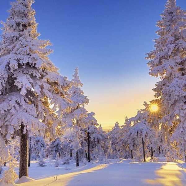 Top 11 Things Every College Kid Needs To Do This Winter Break