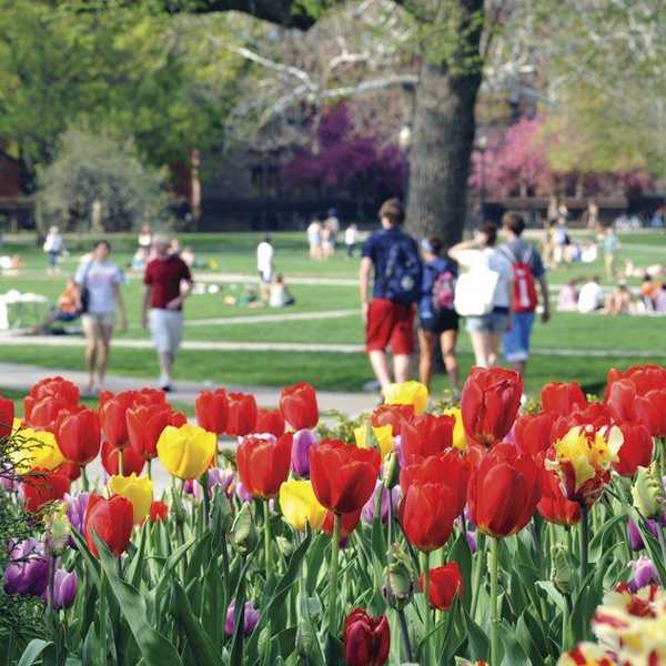 An Open Letter To My Spring Semester Self