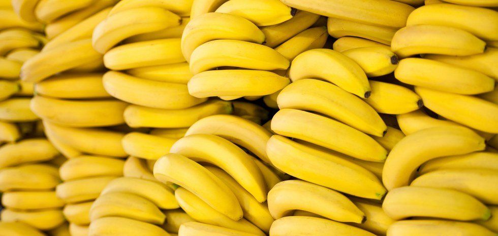 Bananas Are Facing Extinction From Mysterious Panama Disease