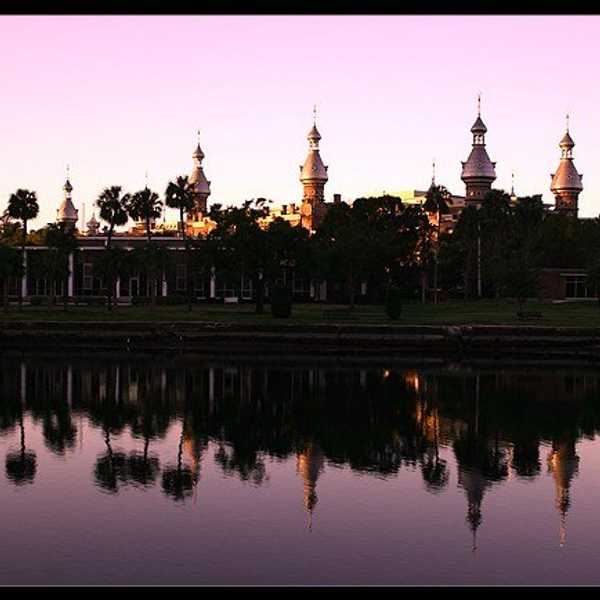 University of Tampa As Told By Urban Dictionary